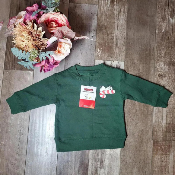 NWT Peanuts Snoopy Christmas Pullover Crewneck Sweatshirt Size 12m Green - Picture 6 of 16